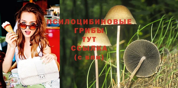 эйфоретик Баксан