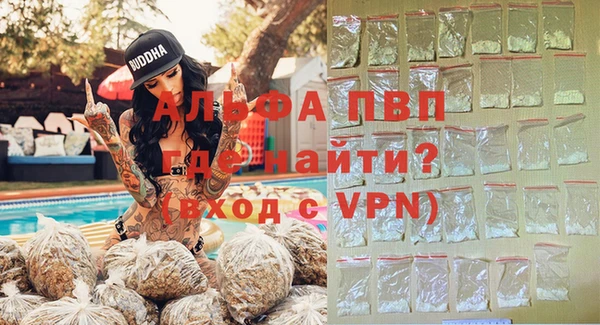 эйфоретик Баксан